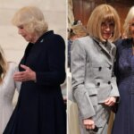 newspress-collage-ek9oflhqv-1777500914047.jpg