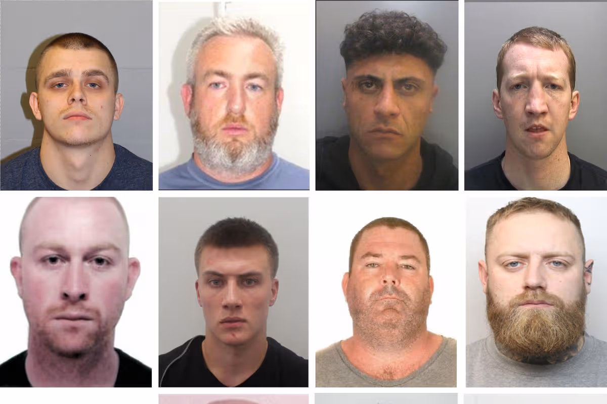 The 12 most wanted