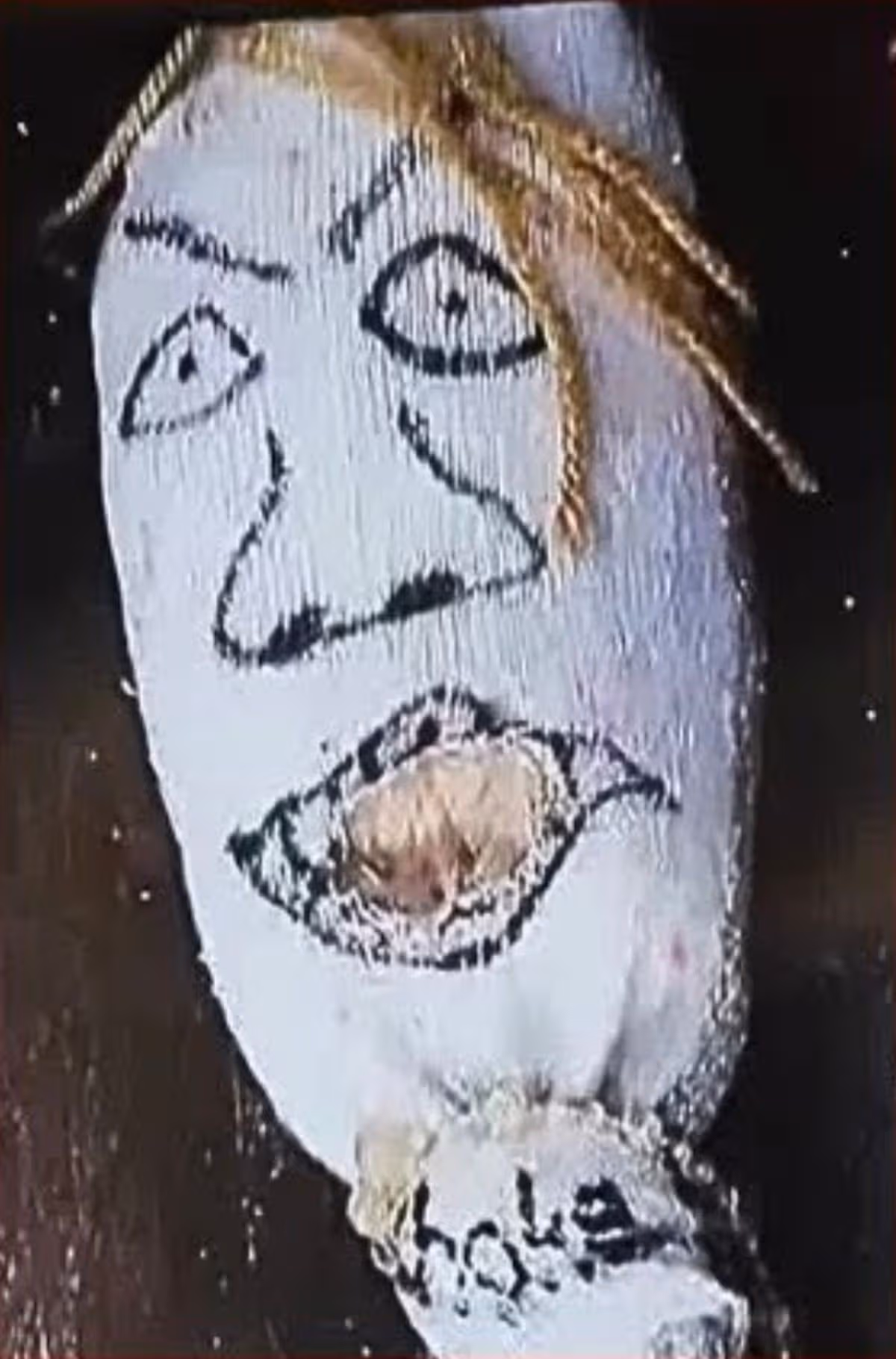 The voodoo doll
