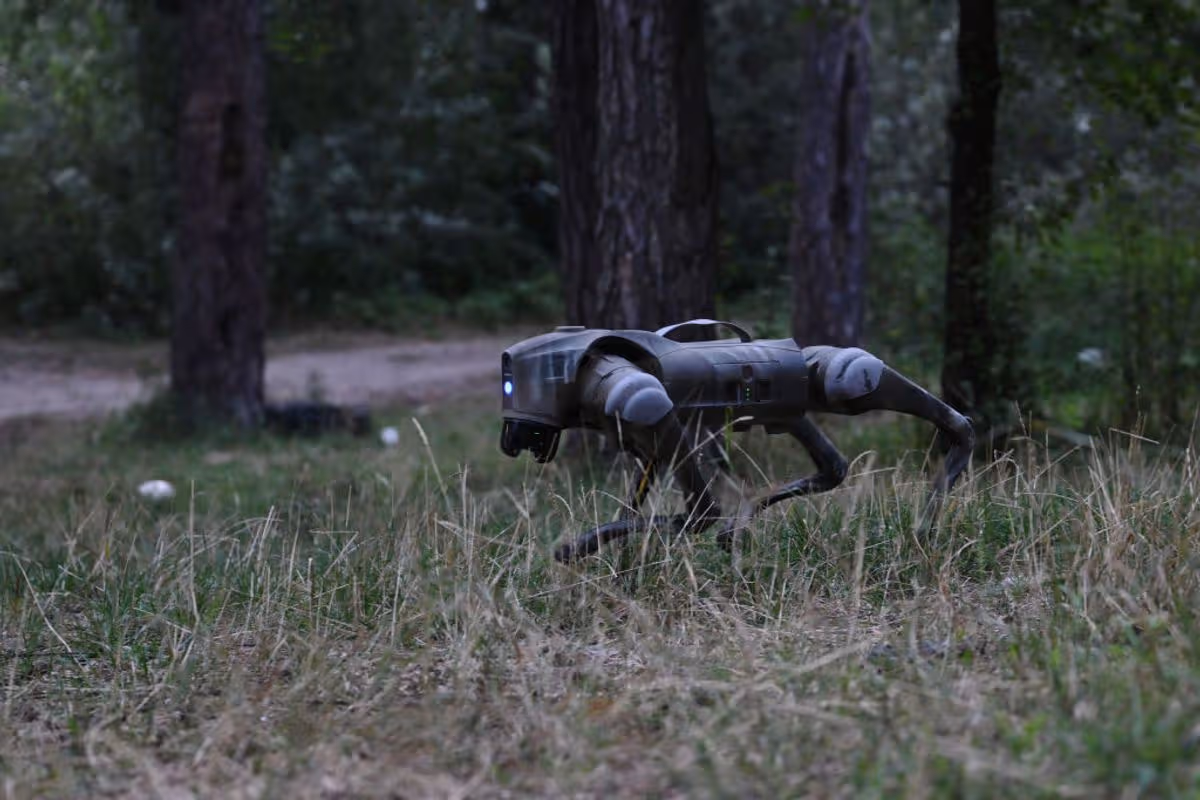 Robot dogs have been used to find the land mines