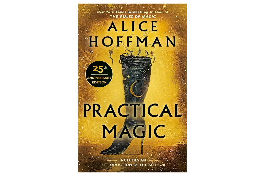Illustration of the "Practical Magic" book cover by Alice Hoffman, showing a black boot with a crescent moon and stars, against a golden, speckled background.