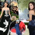 newspress-collage-uxm0dm3a2-1778096340152.jpg
