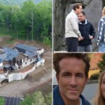 newspress-collage-wseqvyy5u-1779387383464.jpg