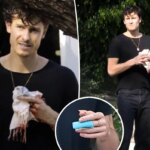 shawn-mendes-finger-injury.jpg
