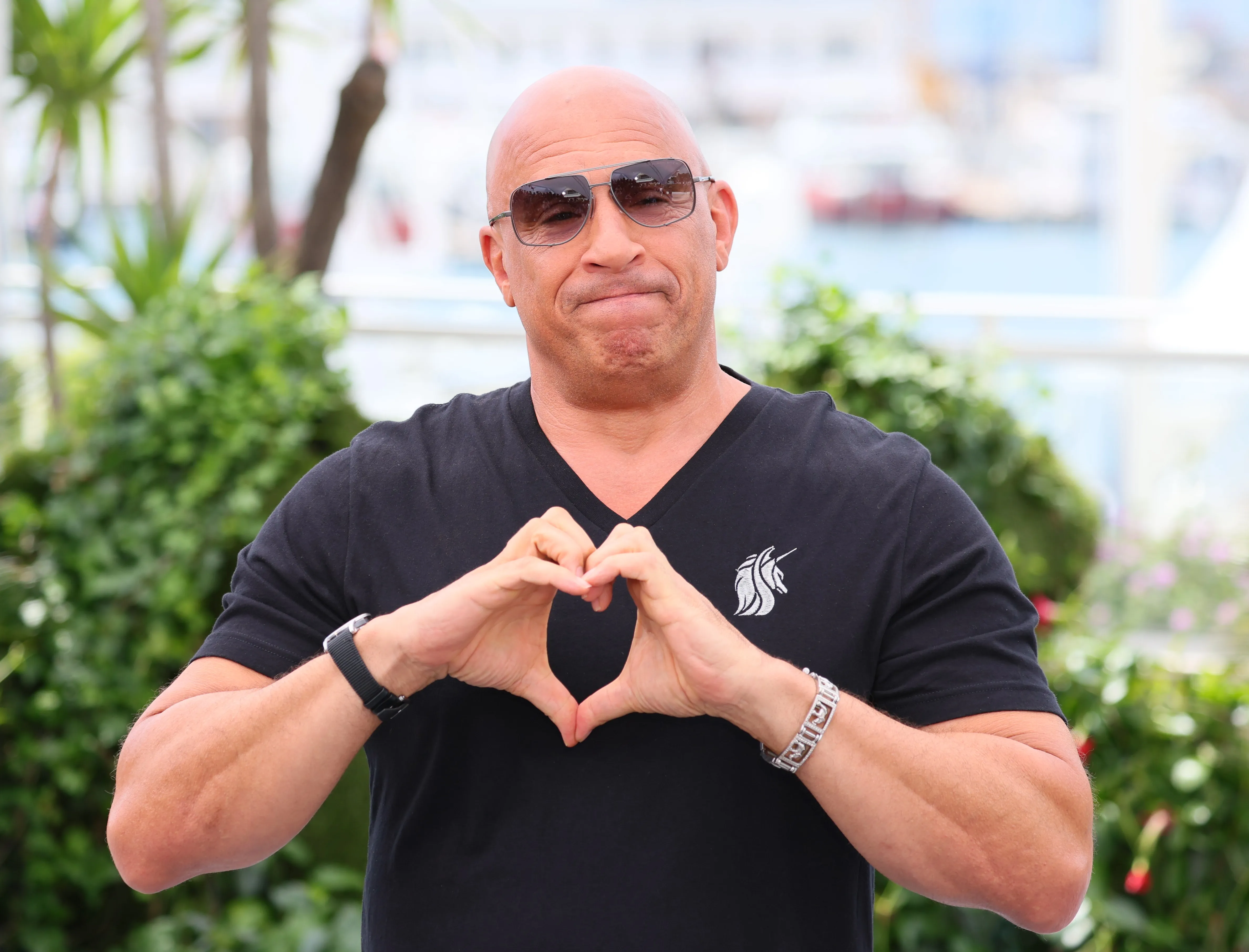 Vin Diesel 