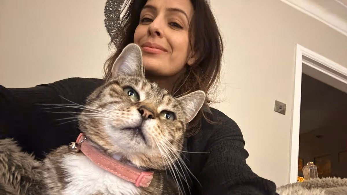 1_Family-fuming-cops-wont-charge-couple-who-stole-and-killed-their-cat.jpg