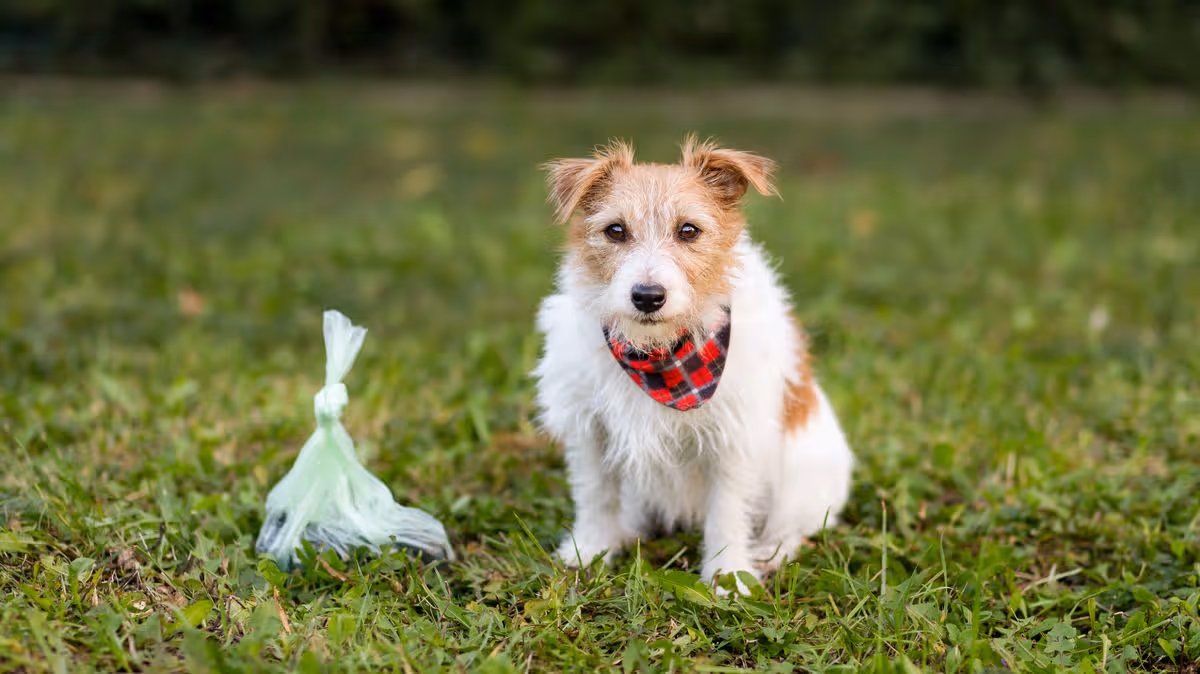 1_GettyImages-2189799825.jpg