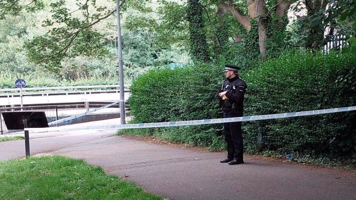 1_central-park-scene.jpg