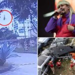 Oliver-tree-crash-copy.jpg