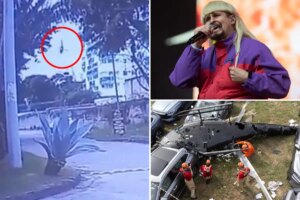 Oliver-tree-crash-copy.jpg