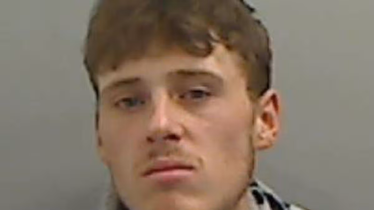 0_Bradley-Thomas.jpg