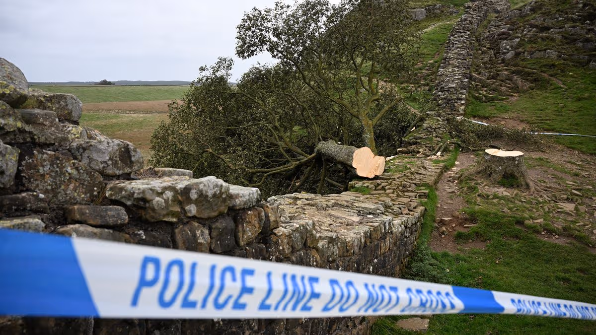 0_FILES-BRITAIN-NATURE-POLICE-TREE.jpg