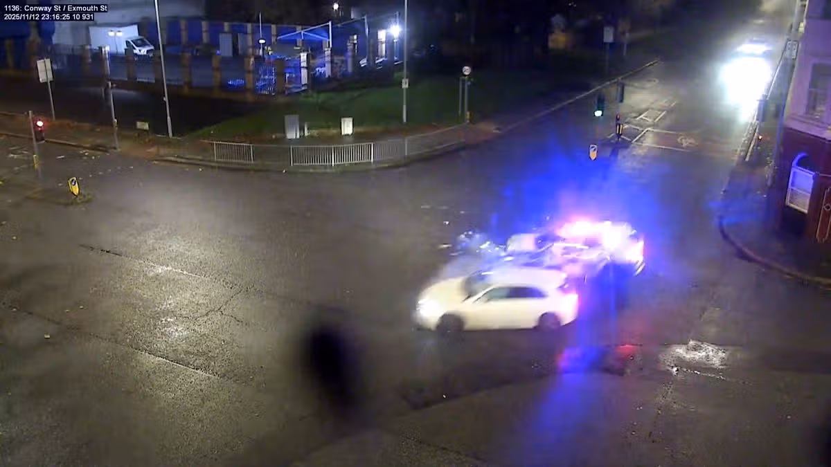1_Moment-mum-runs-red-light-and-smashes-into-police-car-sending-it-up-in-flames.jpg