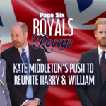 royals_wp-7.png