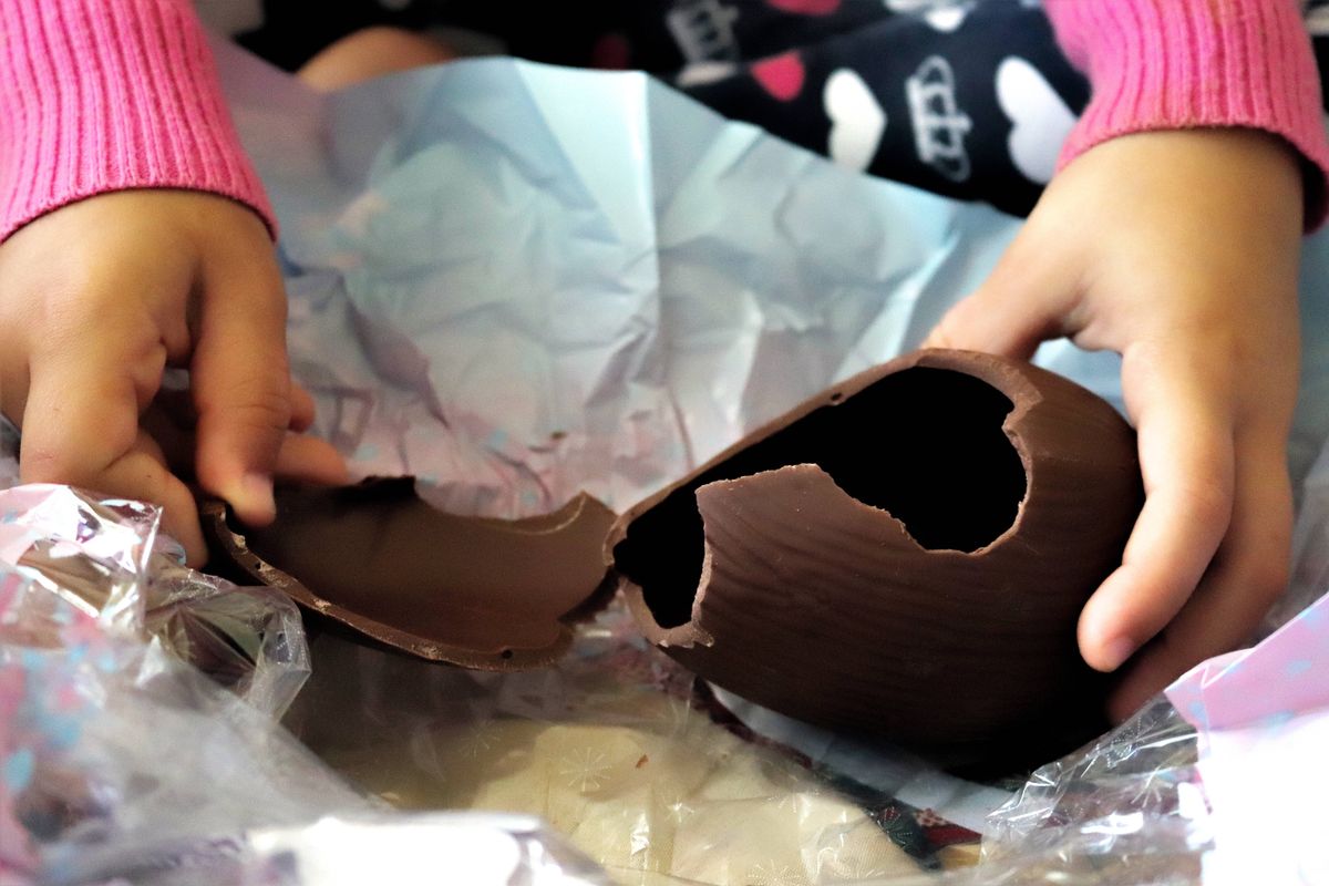 A young child is eating her Easter egg after the egg hunt.