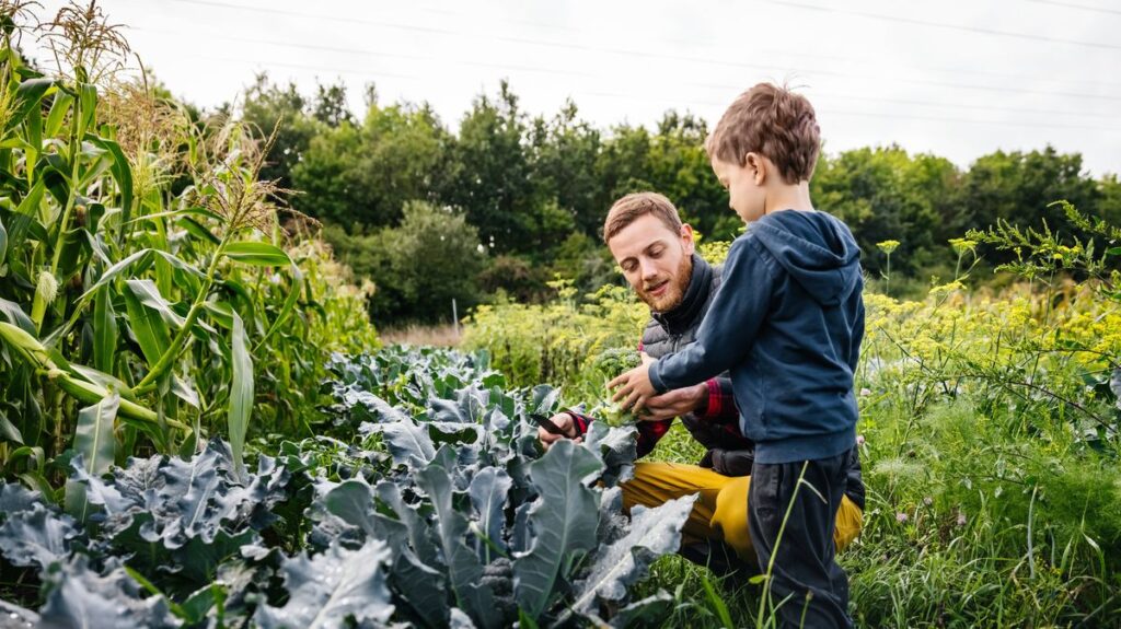 1774066539_0_Young-Boy-Helping-Father-Farming-Vegetables.jpg