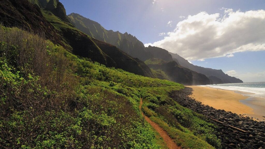 1774600870_0_Kalalau-Beach-at-the-end-of-trail.jpg