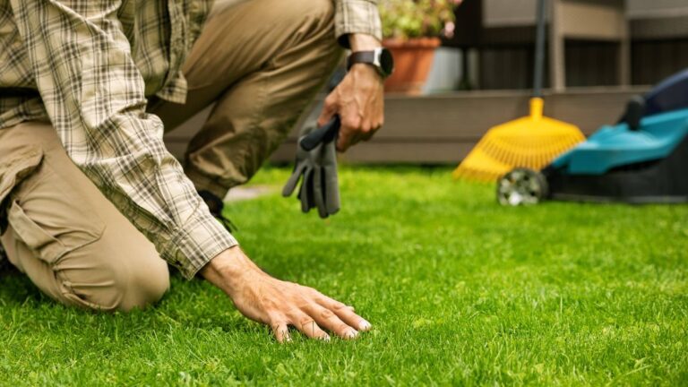 1774626890_0_man-touch-perfect-green-grass-with-hand-lawn-care-and-landscaping-service-banner-with-copy-space.j.jpeg