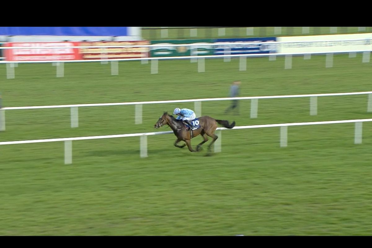 Soldier In Milan won the Irish Grand National by several lengths