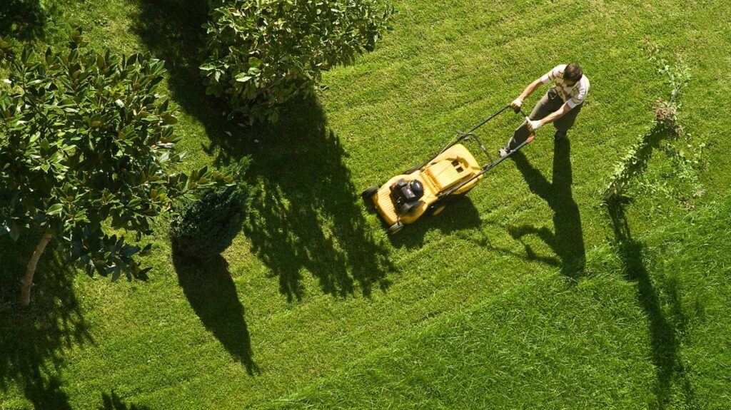 1775630728_0_Using-lawn-mower.jpg