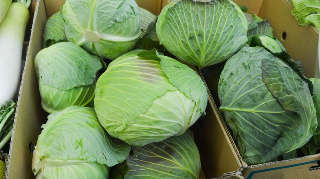 1775702142_0_stack-of-vegetable-in-grocery-store-cabbage.jpg