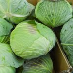 1775702142_0_stack-of-vegetable-in-grocery-store-cabbage.jpg
