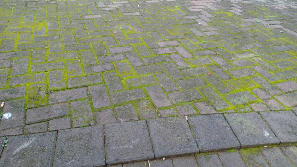 1776297139_0_Mossy-brick-pavement-texture-with-green-growth.jpg