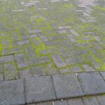 1776297139_0_Mossy-brick-pavement-texture-with-green-growth.jpg