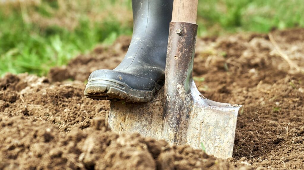 1776586332_1_Digging-a-garden-bed-with-a-spade.jpg