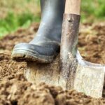 1776586332_1_Digging-a-garden-bed-with-a-spade.jpg