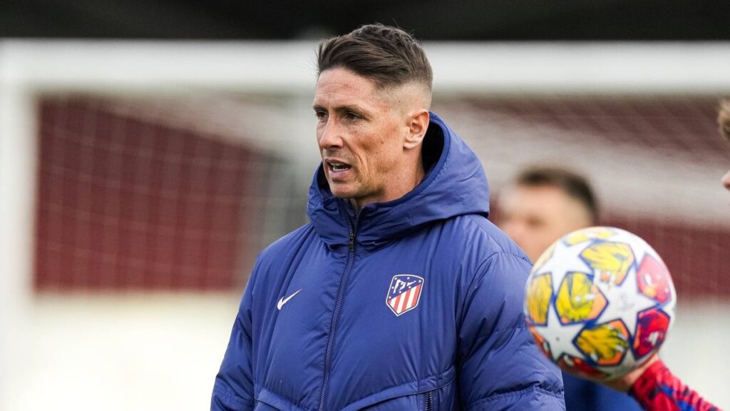 1776835806_0_Fernando-Torres-Atletico-Madrid.jpg
