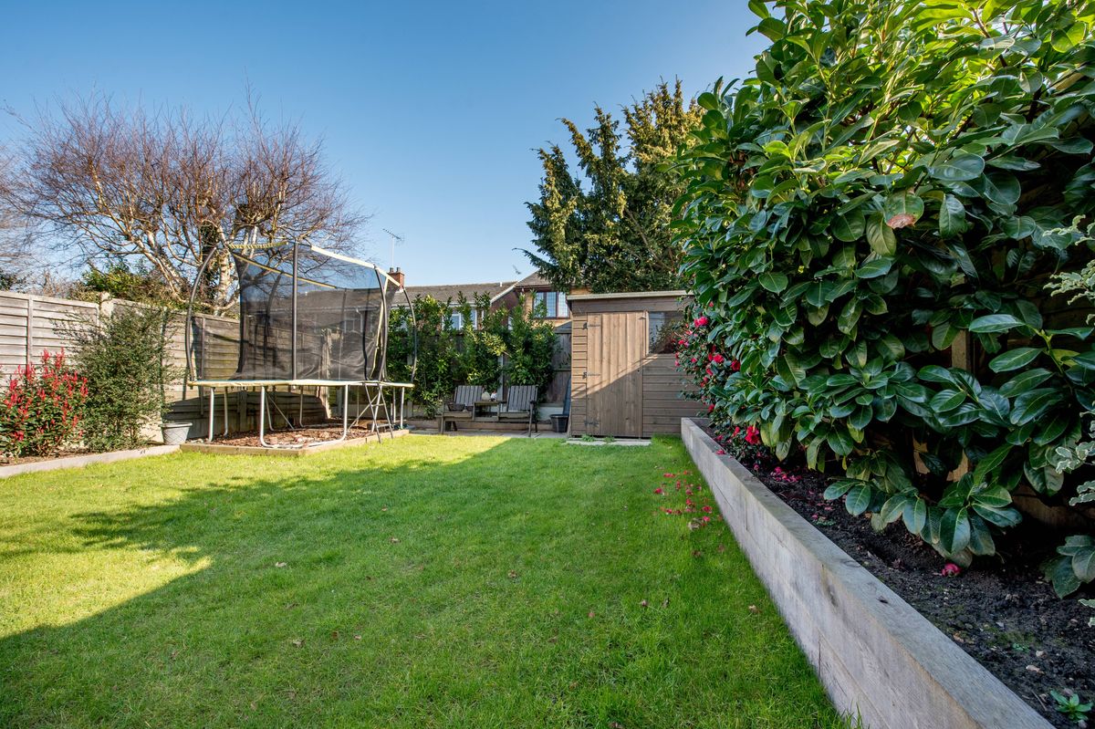 A general view of a small back garden laid to lawn grass, with railway sleeper flower beds, trampoline, timber shed and fences, on a sunny clear blue sky day