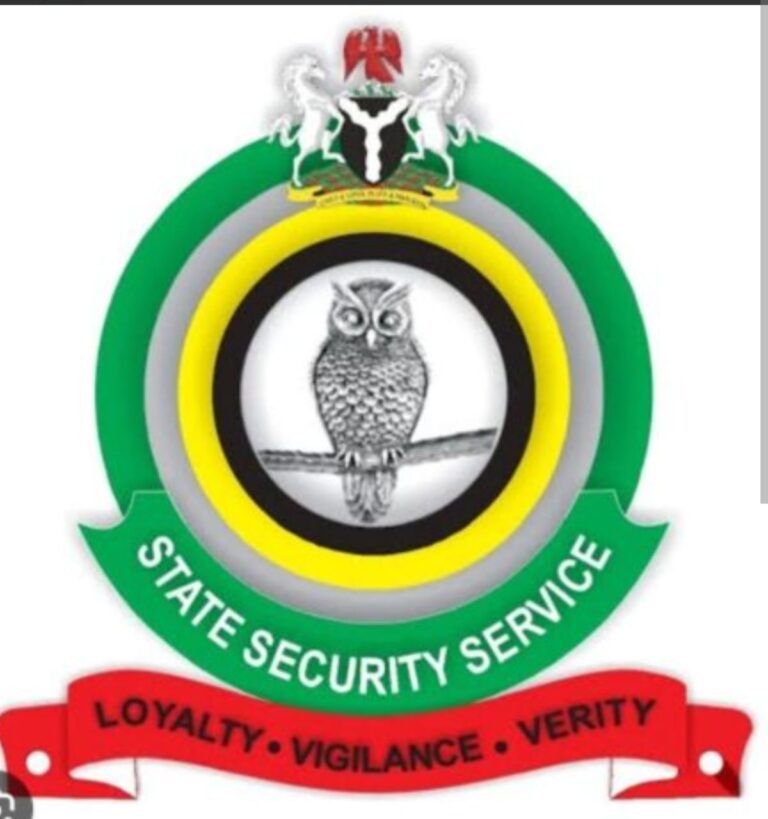 Court Orders Bauchi Finance Commissioner, Others to Report Weekly to DSS Over Terrorism Financing Case