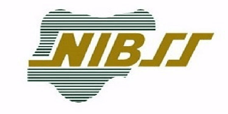 Digital Payment Fraud Losses in Nigeria Drop by 51% to N25.85bn in 2025 — NIBSS