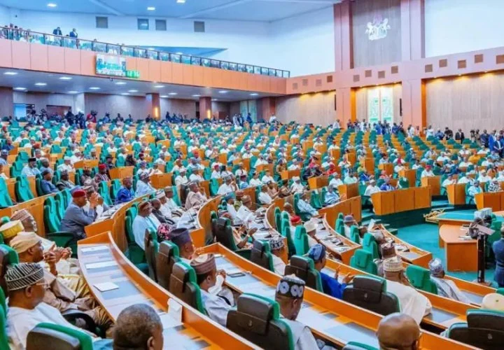 Reps suspend agency’s 2026 budget review over DG’s absence, poor documentation