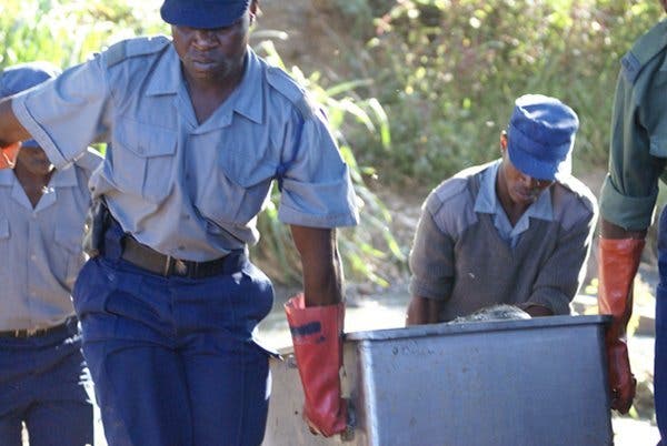 police-carrying-coffin-box.jpg