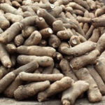 tubers-of-yam.jpg