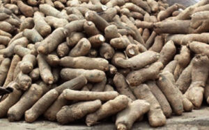 tubers-of-yam.jpg
