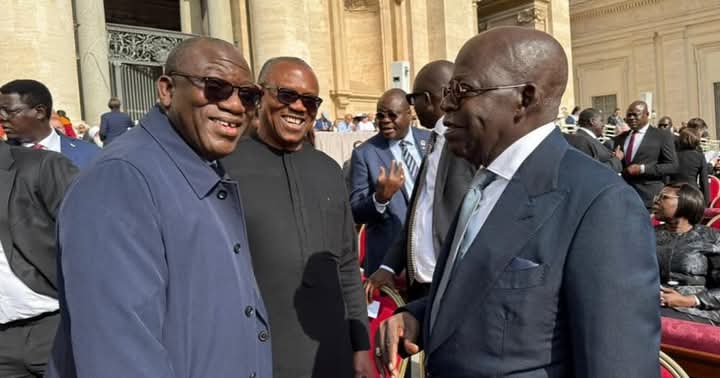 Fayemi Reveals How He Convinced Peter Obi to Greet Tinubu at Vatican Ceremony